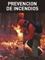 incendios